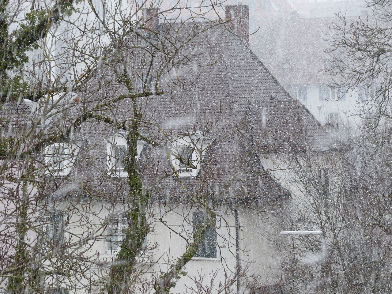 兰州大雪，城市生活的白色交响曲——乱中有序的冬日奇遇